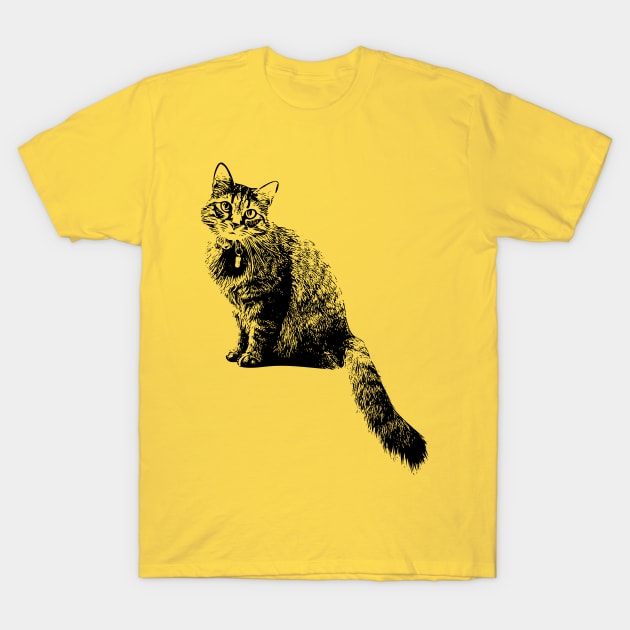 Cats T-Shirt by Think Beyond Color